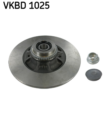 SKF VKBD 1025 Remschijf